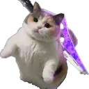 fate6's avatar image